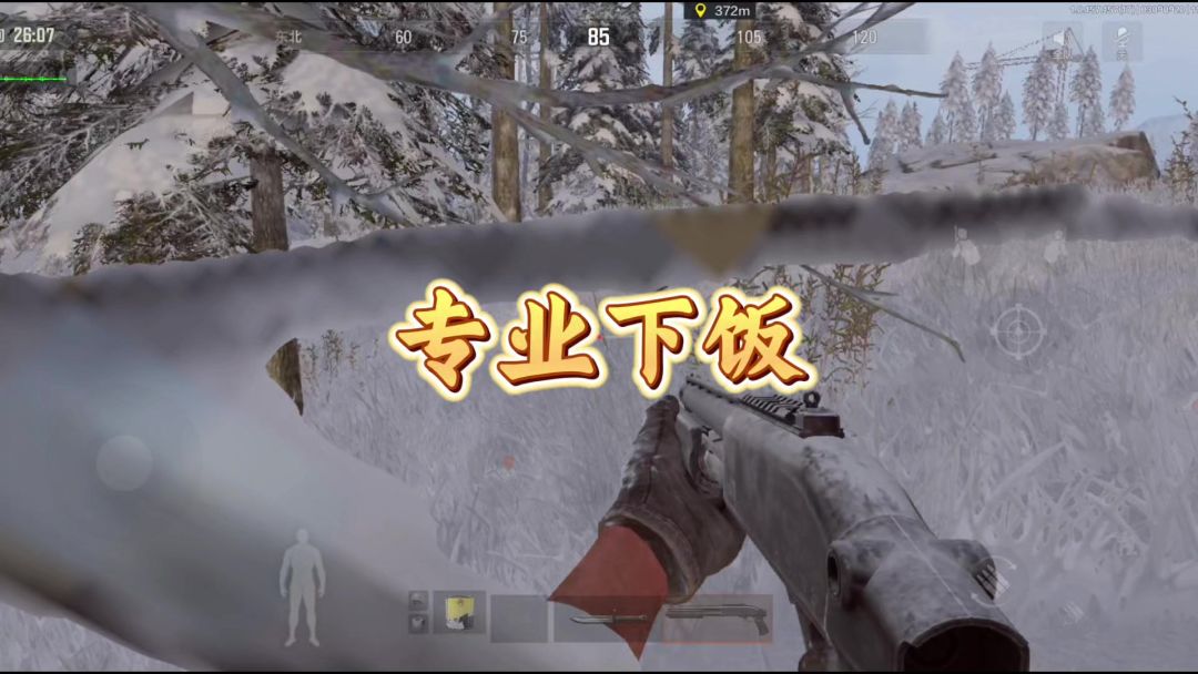 video-4827754