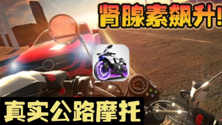 🔥超真实公路摩托，越飙越爽❗❗主打紧张刺激截图