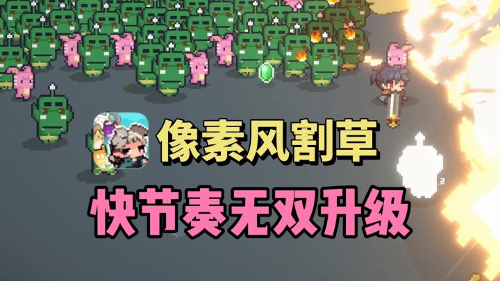 🔥复古像素风肉鸽，快节奏无双升级❗好玩上瘾～截图