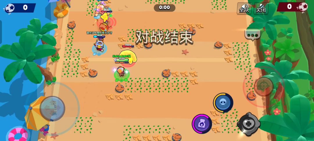 video-4830284