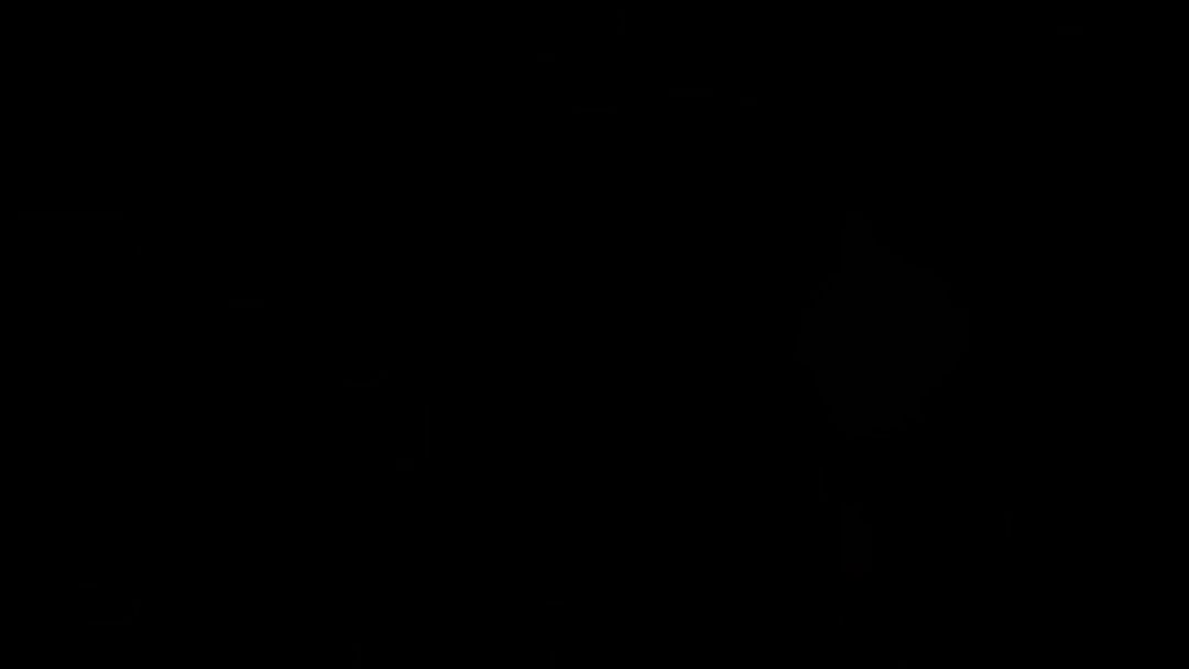 video-4830383