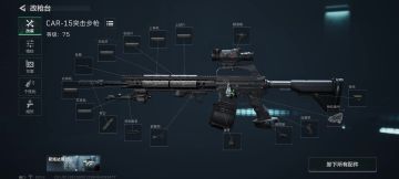 大战场娱乐-全程躺平随缘car15。