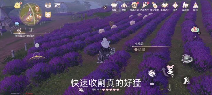 剪裁套好猛,适合清洁慢速动物截图