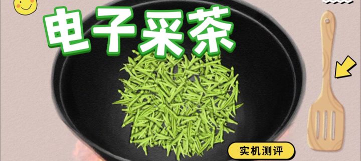 电子采茶/体验采茶到制茶全流程截图