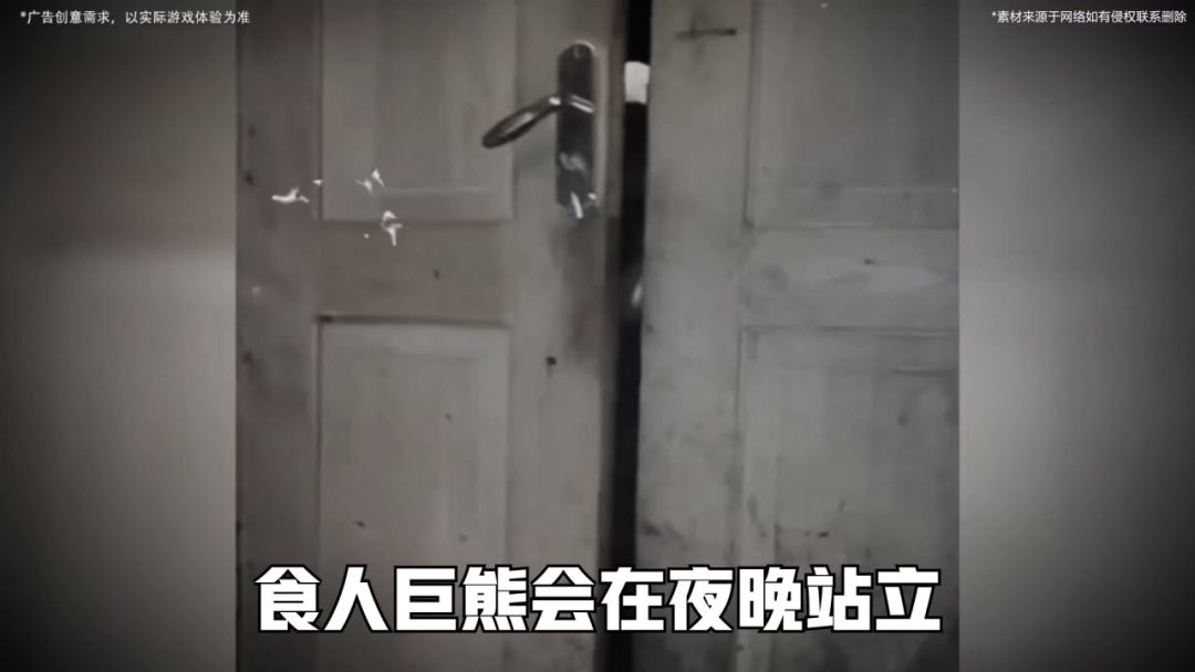 video-4838311
