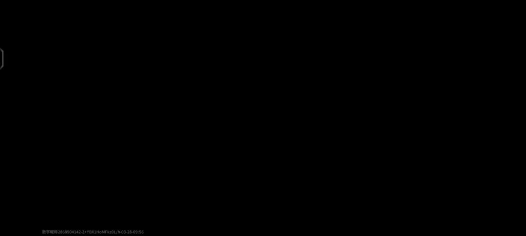 video-4839747