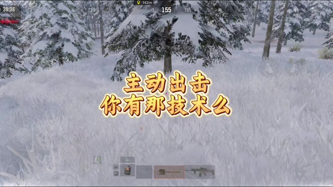 video-4843454