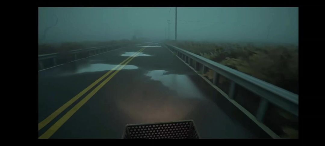video-4847115