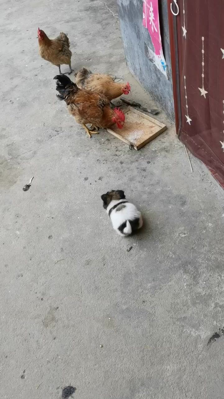 问下兄弟们截图