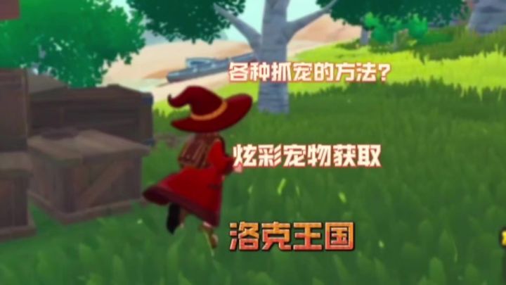 这种炫彩宠物怎么抓怎么获得截图