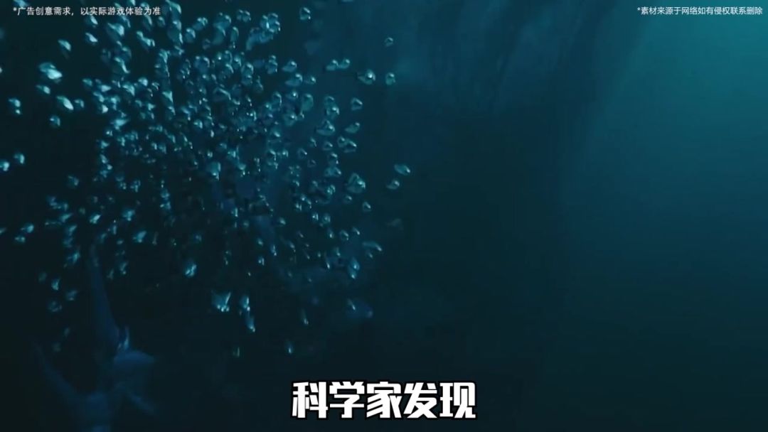 video-4851376