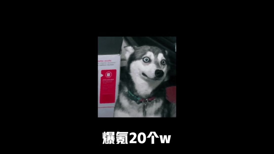 video-4851391