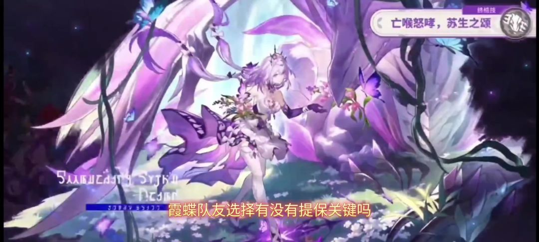 遐蝶队友选择！缇宝关键嘛？截图
