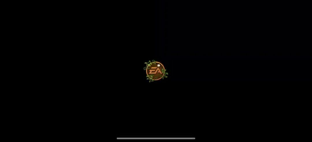 video-4853224