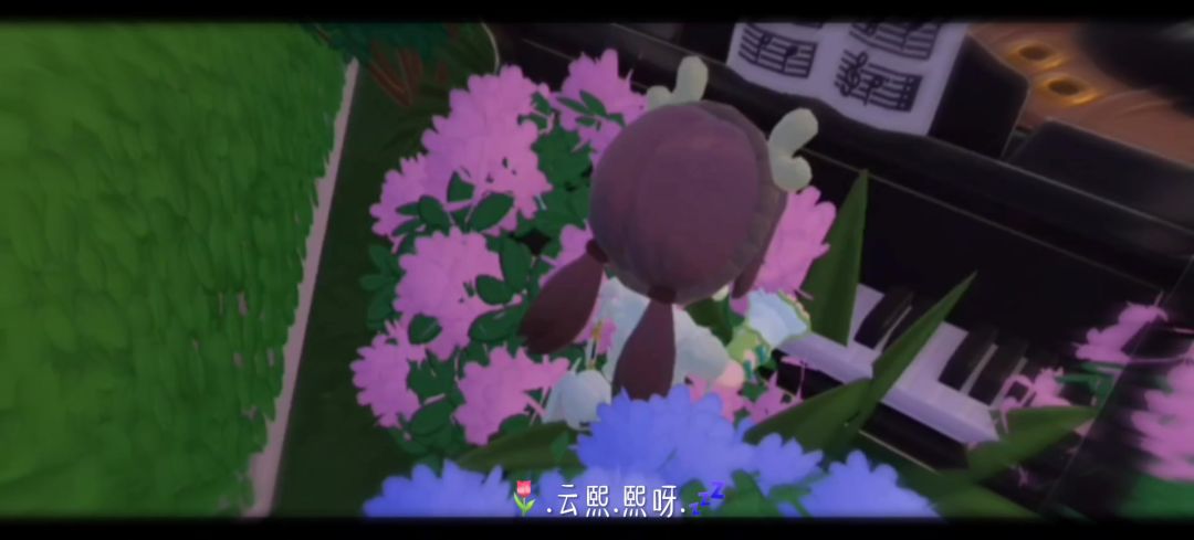 video-4855124