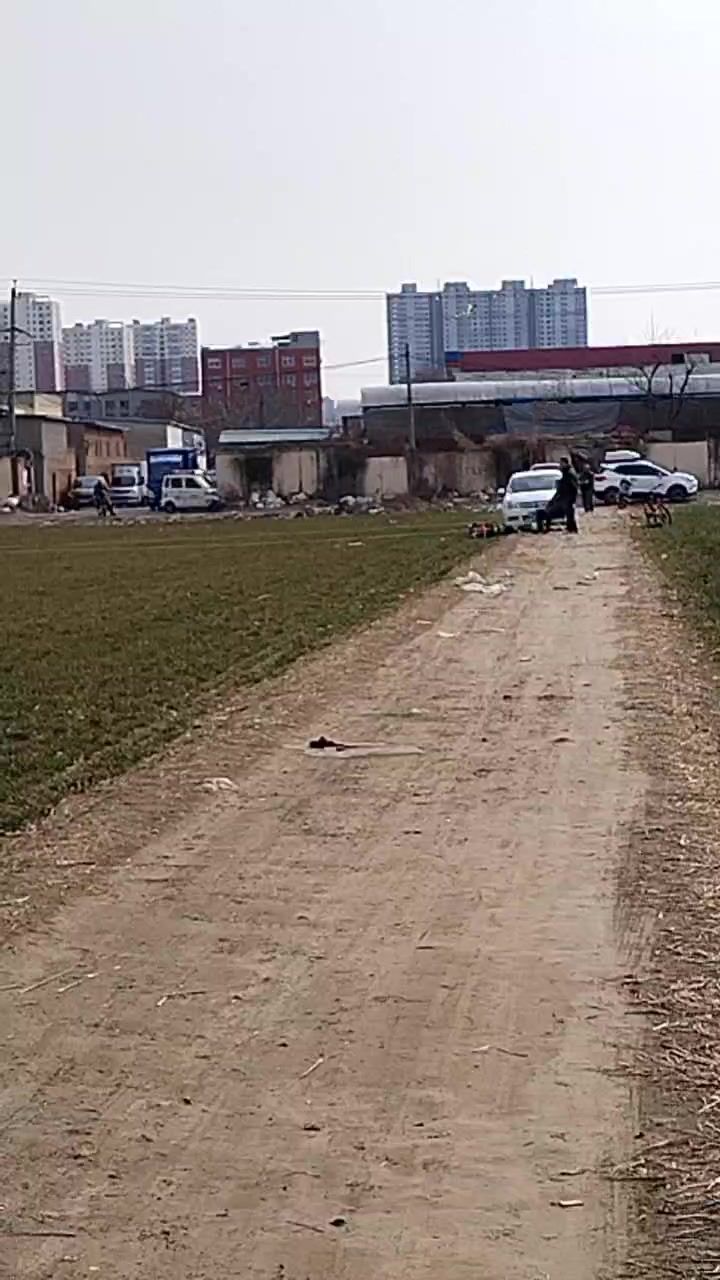葫芦娃风筝。截图