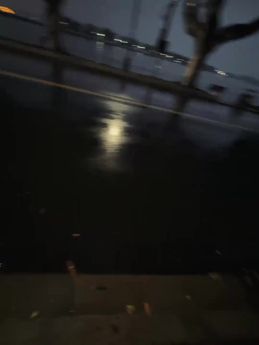 video-4856972