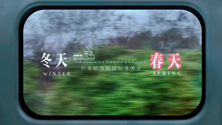 【趣味视频】春风共创 - 开往漫天樱花的春之仙境截图