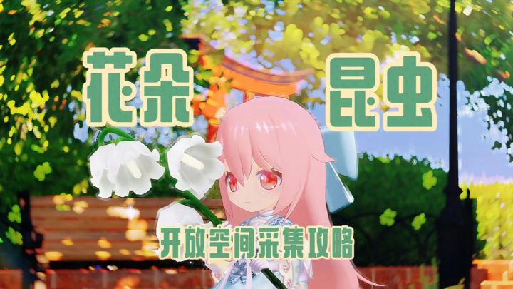 花与昆虫委托攻略-冬至截图