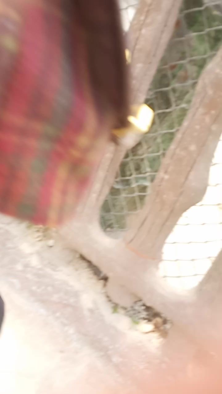 小羊羊😃截图