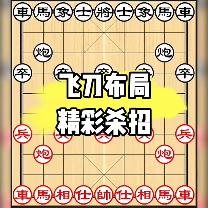 video-4862812