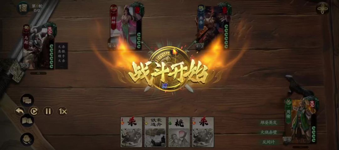 video-4863079