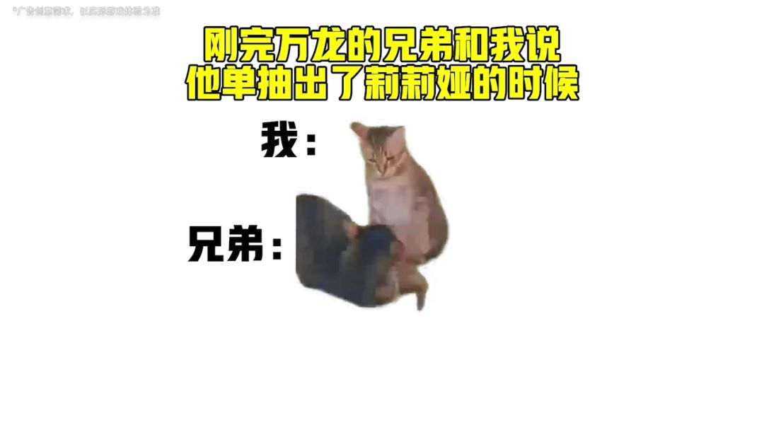 video-4866436