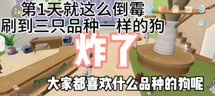心动小镇 狗狗上线啦截图