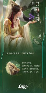 皮肤【谋定天下】