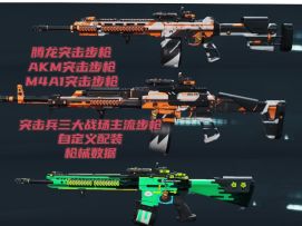 大战场三大主流步枪自定义方案配装