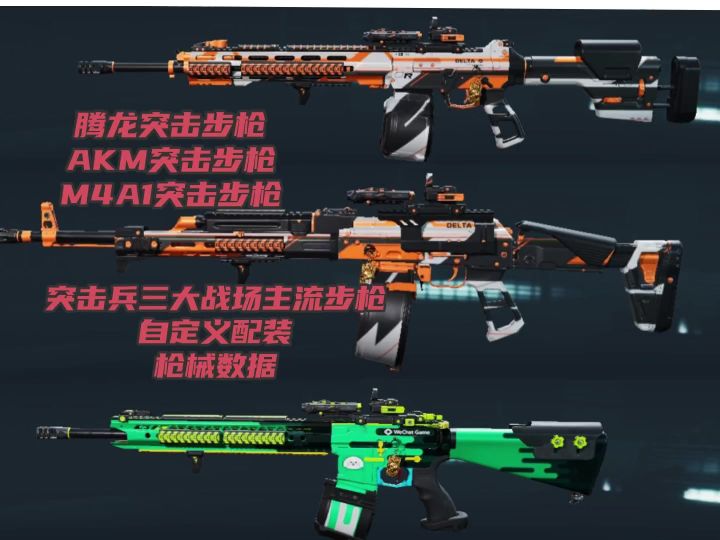 大战场三大主流步枪自定义方案配装截图