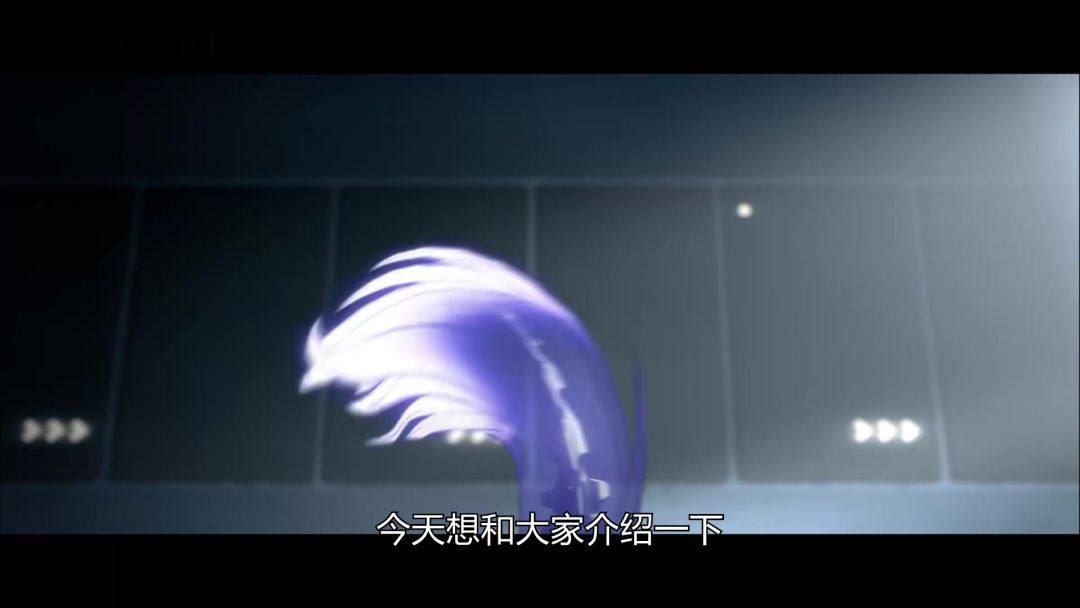 video-4874133