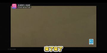 【元气骑士前传SS2】新专精职业爆料 雷神萨满 瞬杀忍者