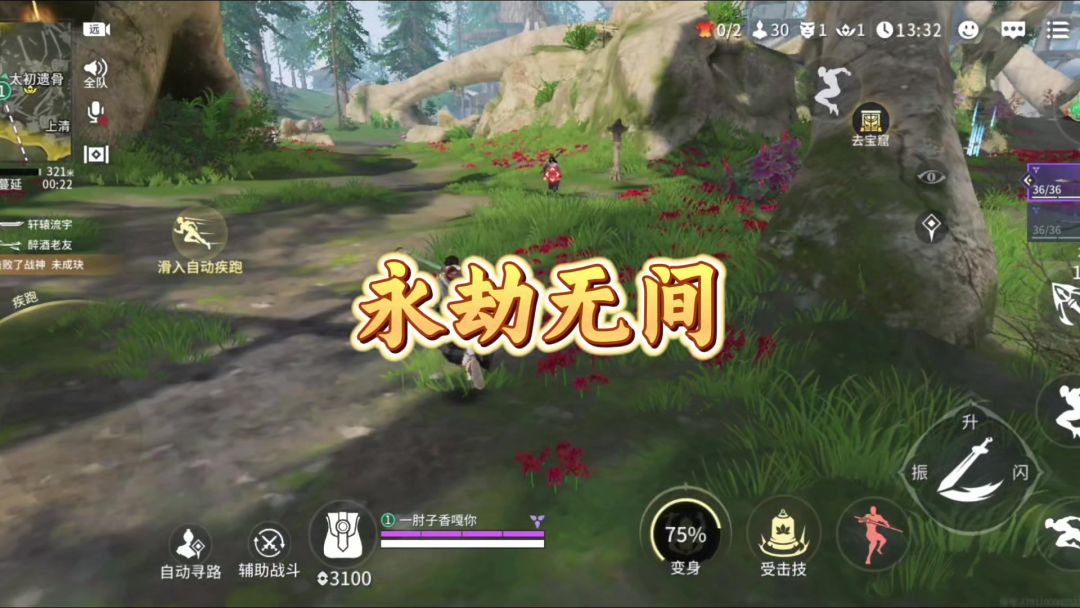 video-4877753