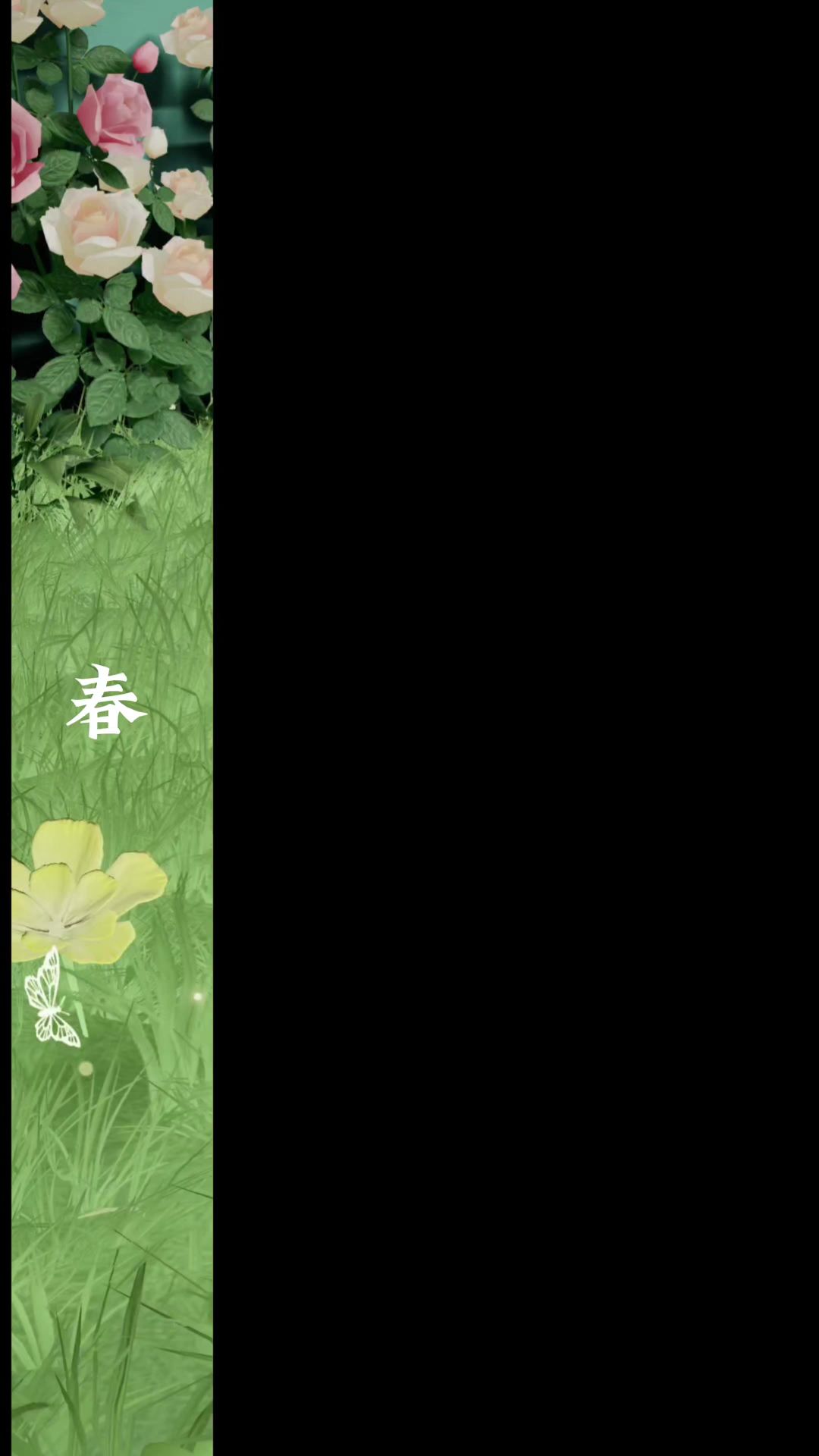 video-4878405