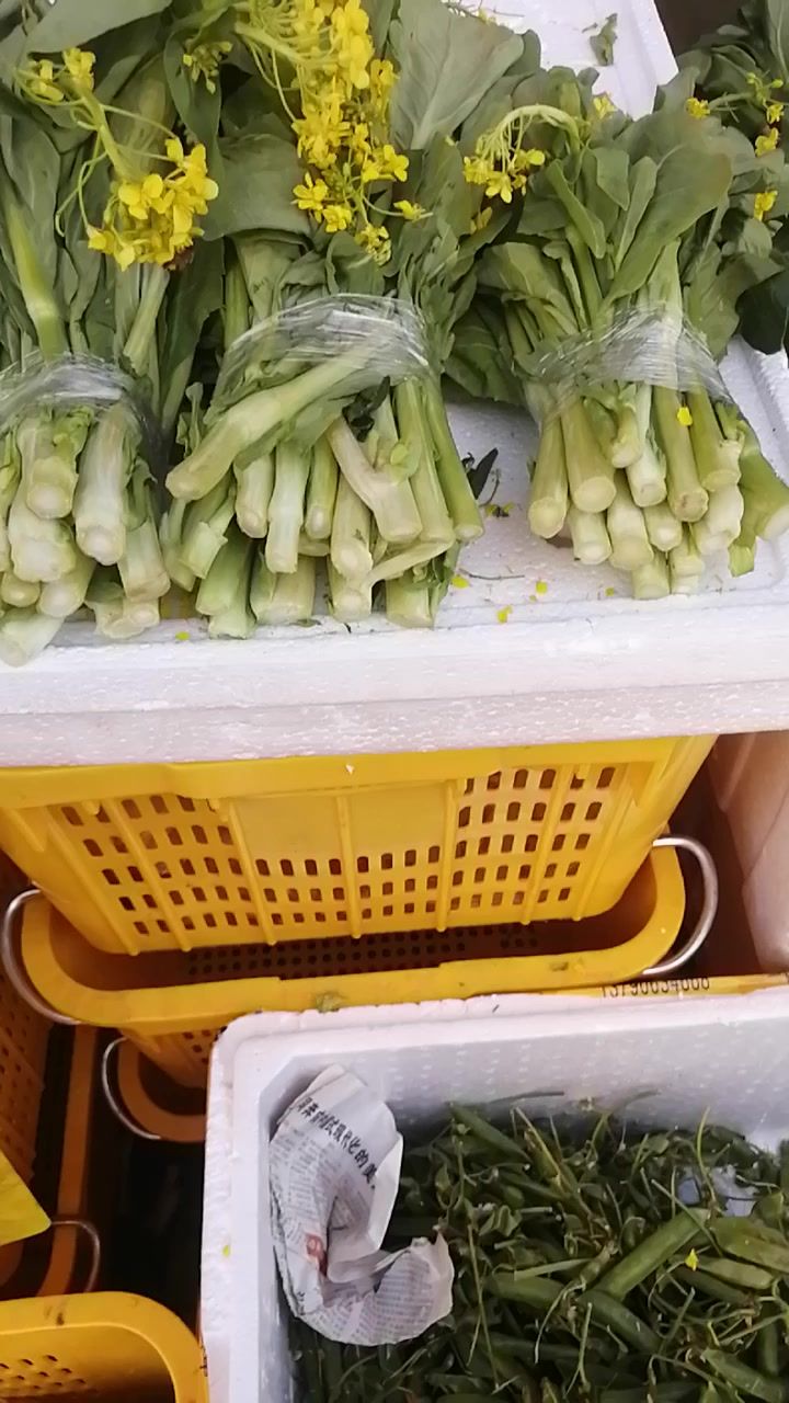 深圳打工第四十二天截图