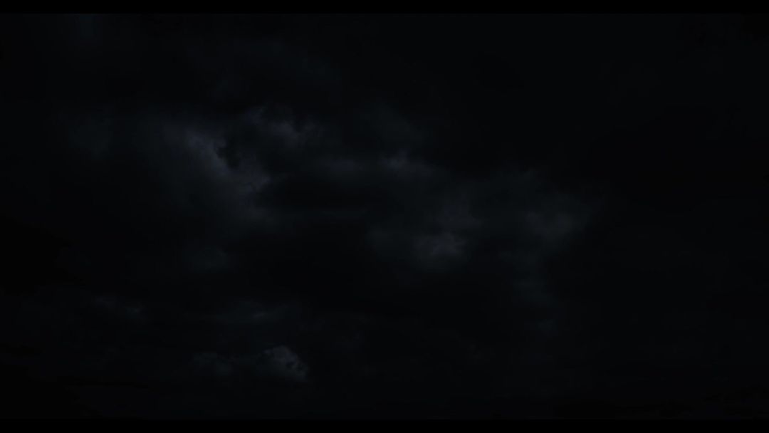 video-4882448