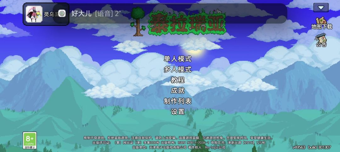 video-4885599