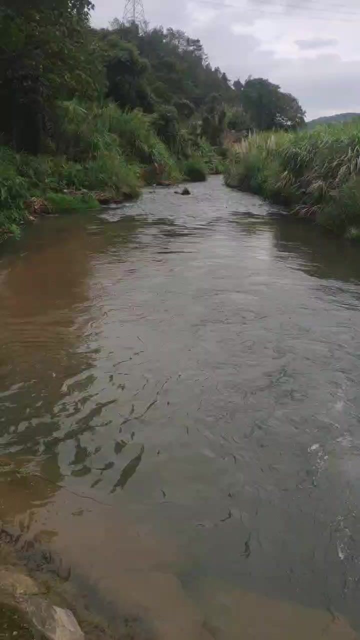 video-4886248