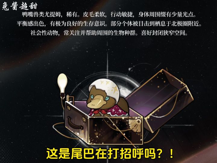 六星星系生存型角色!库珀花环!让我们祝她生日快乐!截图