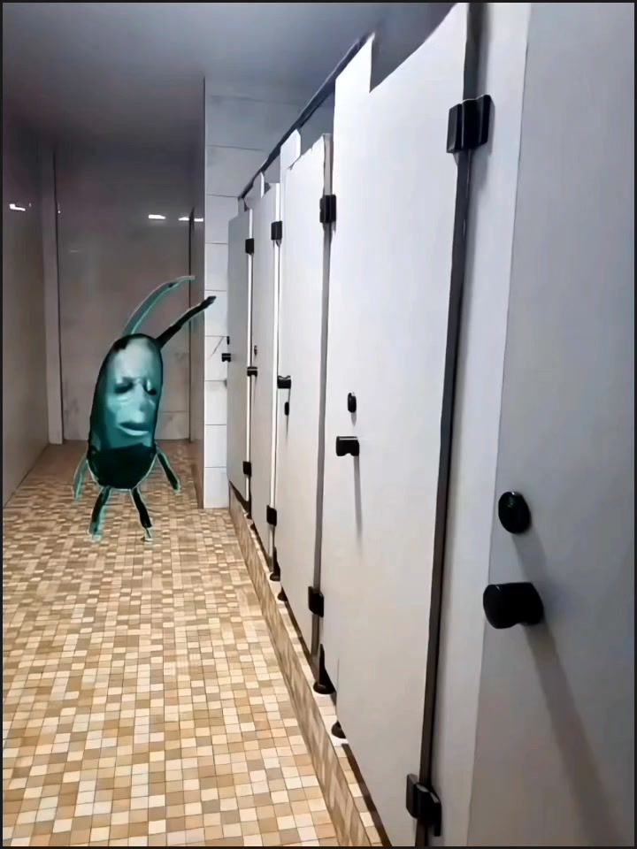 video-4887038