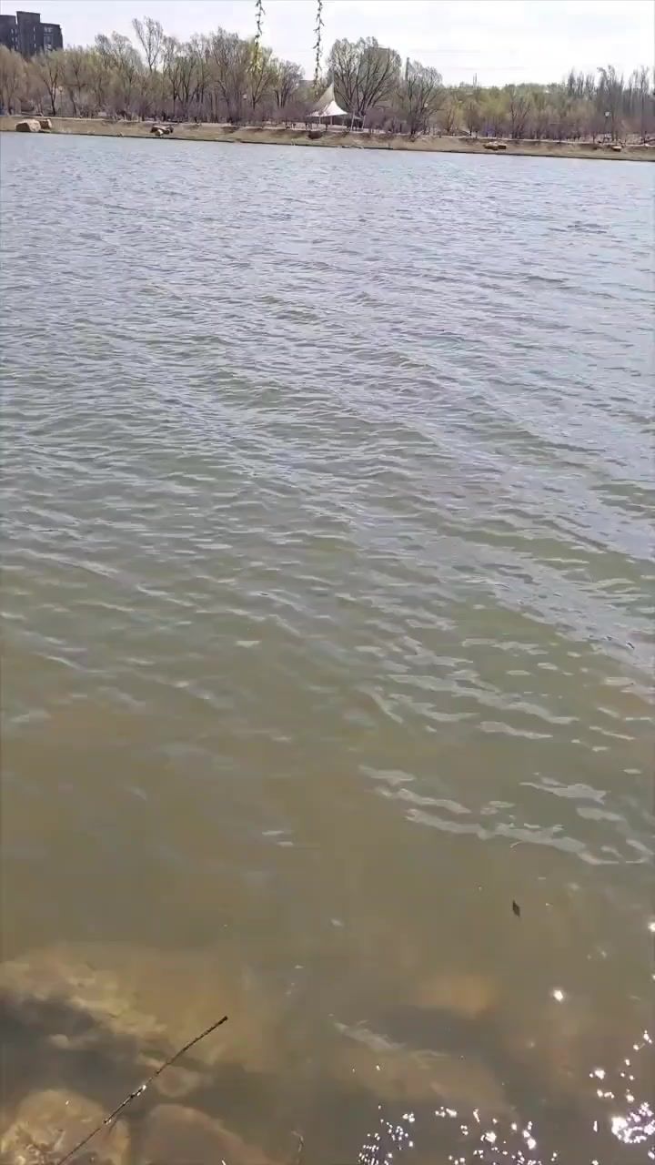 飞吧飞吧截图