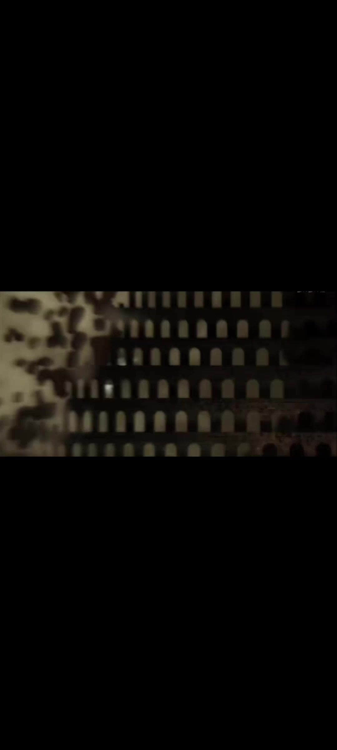 video-4887407