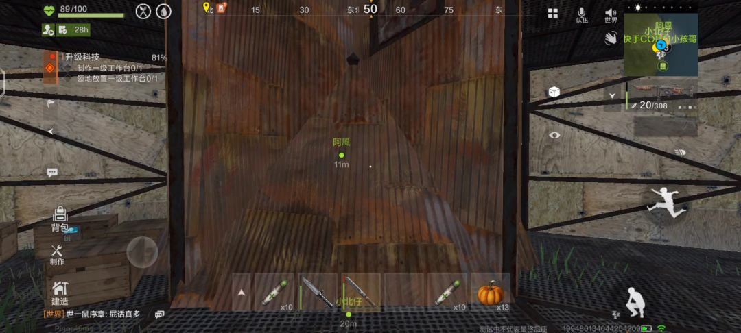 video-4887415