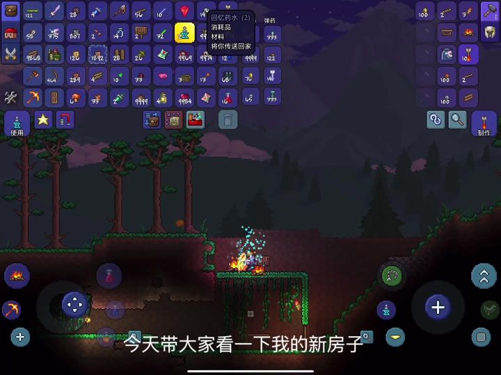 爆肝五小时的房子终于完成啦！！！截图