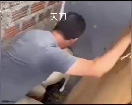 什么时候上线PVP新模式啊截图