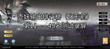 壶妖输出排行榜（11-45名）