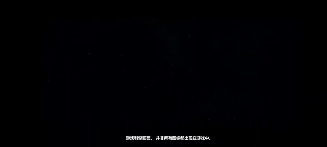 video-4889442