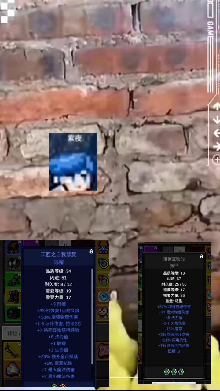 即使拿着最拉胯的宝珠装备但是我们顶峰相见-紫夜截图