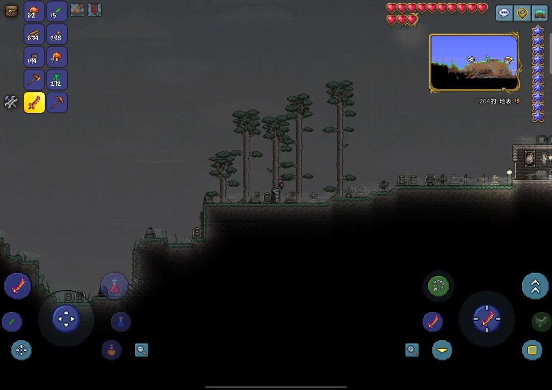 video-4897798